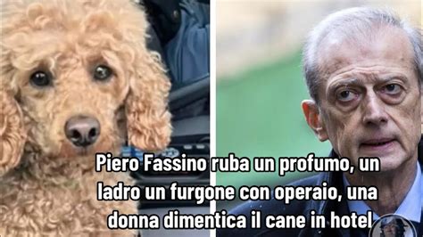 fassino ruba profumo